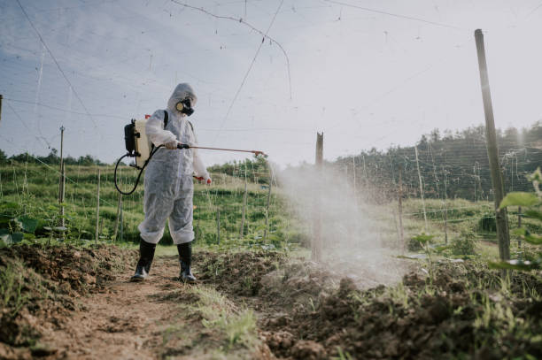 Best Pest Control Near Me  in Willamina, OR