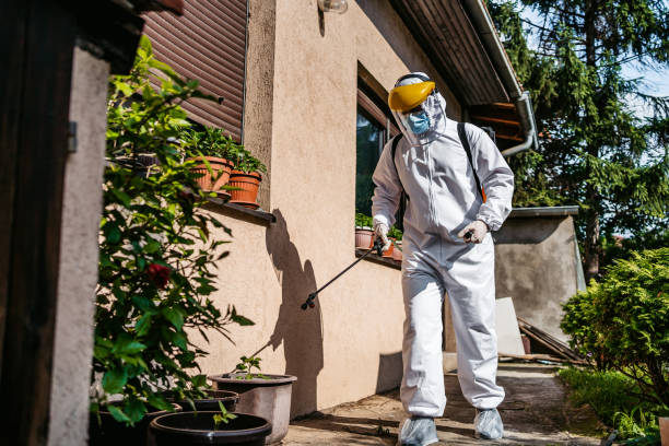 Best Mosquito Control Services  in Willamina, OR
