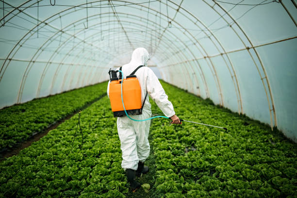 Best Emergency Pest Control  in Willamina, OR