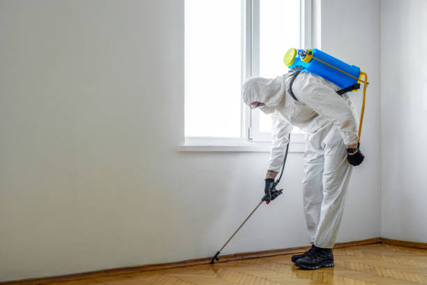 Best Cockroach Control Services  in Willamina, OR