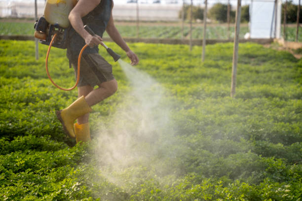 Professional Pest Control in Willamina, OR