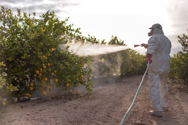 Best Commercial Pest Control Services  in Willamina, OR