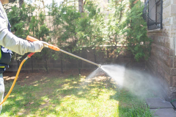Best Flea Control Services  in Willamina, OR