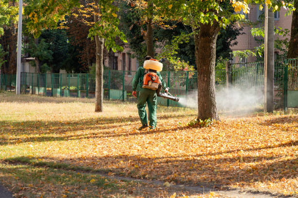 Best Emergency Pest Control  in Willamina, OR