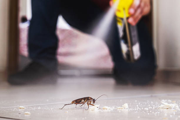 Best Best Pest Control Companies  in Willamina, OR