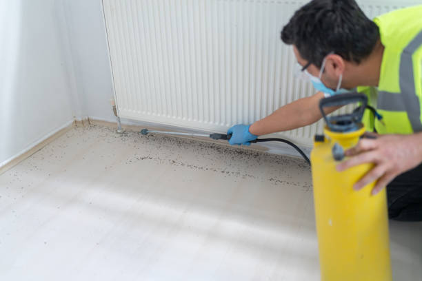 Best Residential Pest Control  in Willamina, OR