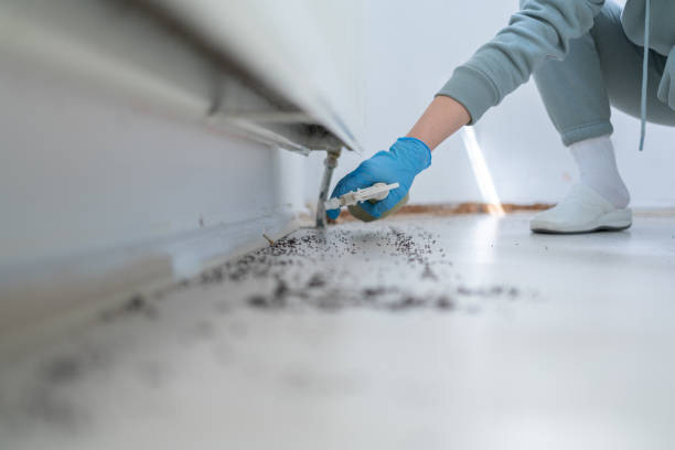Best Commercial Pest Control Services  in Willamina, OR